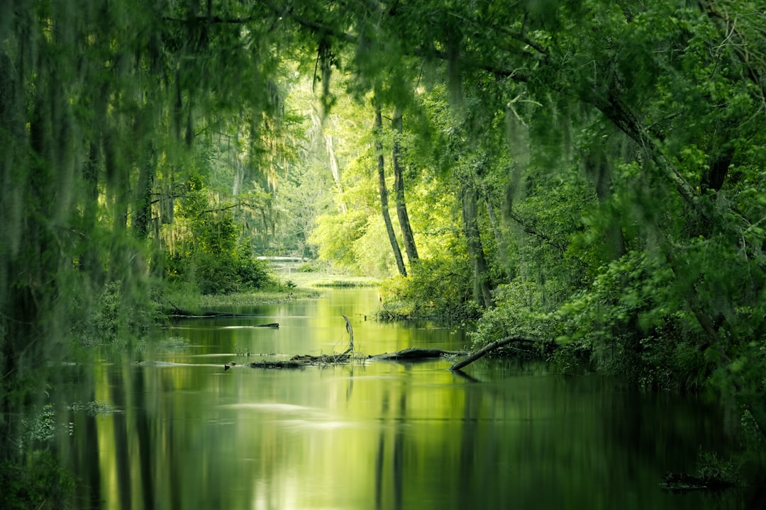 Exploring Matthiessen State Park: A Photo Journey